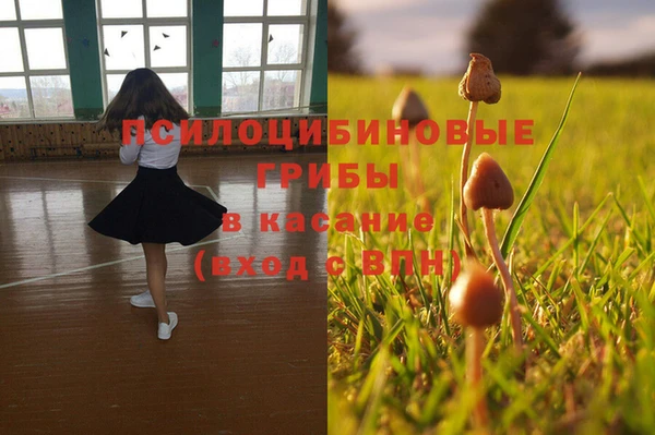 мяу мяу мука Алексеевка