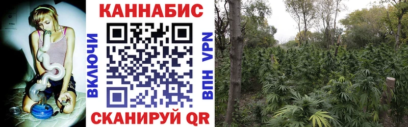 omg зеркало  Байкальск  Конопля тримм 
